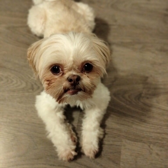 Meet your Posher, Ashley - Picture 2 of 2